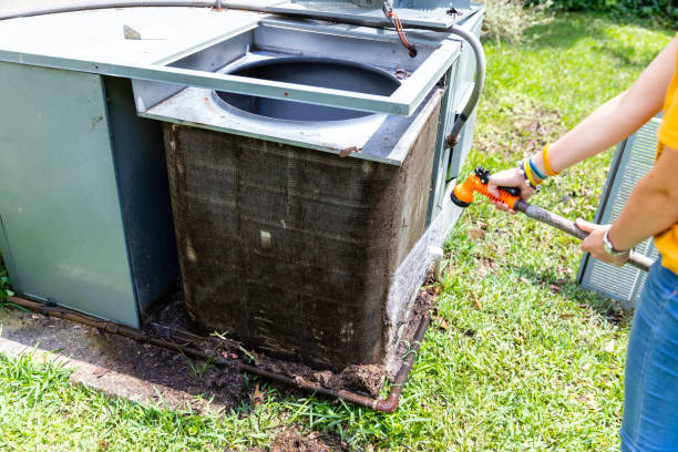 Best Air Vent Cleaning Services  in Brookridge, FL