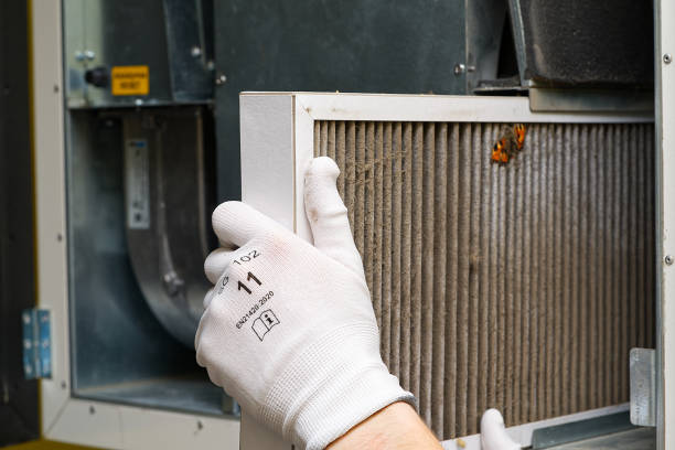 Best HVAC Duct Inspection Services  in Brookridge, FL